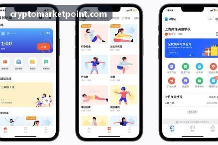 Coinbase稳定币净流量与宏观流动性周期研报